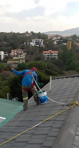 Tipos de ambiente y pintura