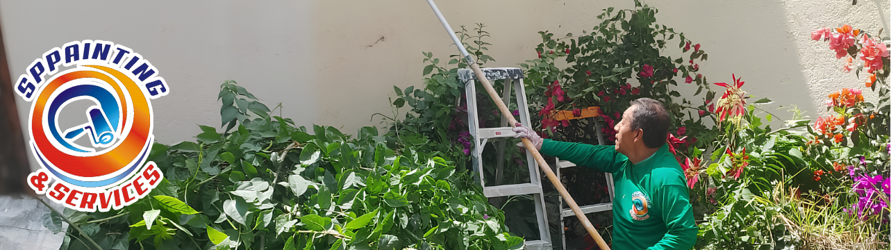 Pintores de casas aplicando formulación acrílica en fachadas